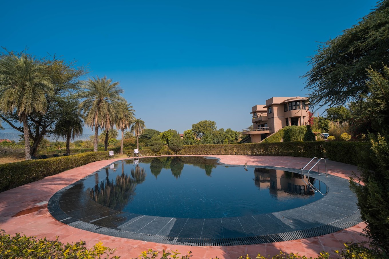 Clarks Safari Pushkar